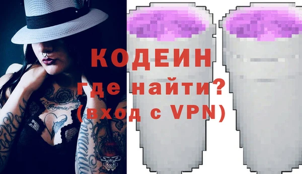 хмурый Белокуриха