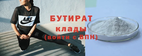 хмурый Белокуриха