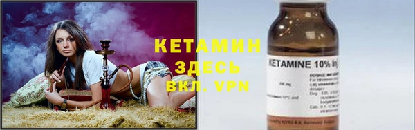 хмурый Белокуриха