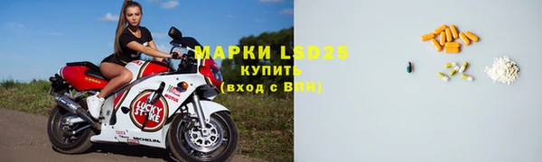 хмурый Белокуриха