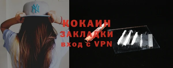 хмурый Белокуриха