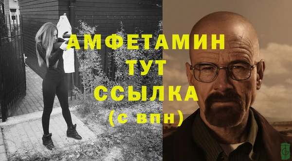 стаф Покачи