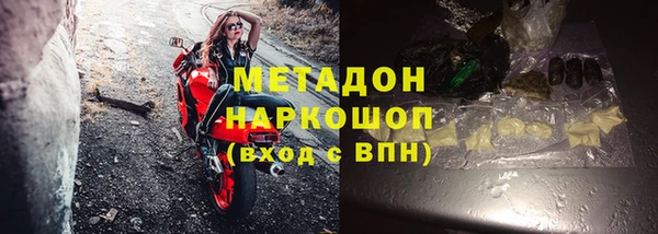 хмурый Белокуриха